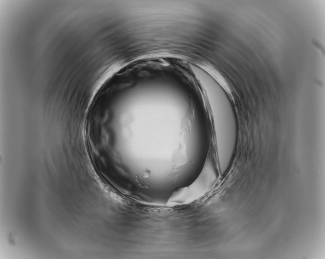 X0000096400813200802141517