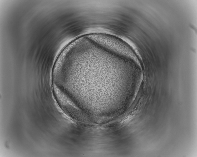 X0000096400815200802141517