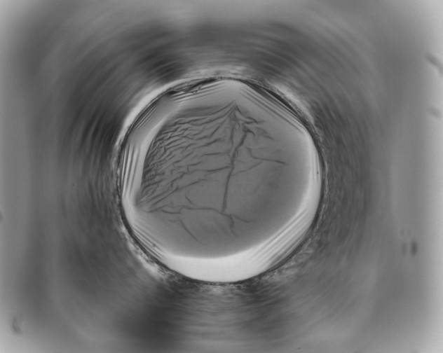 X0000096400816200802141517