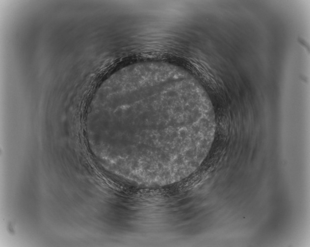 X0000096400817200802141516