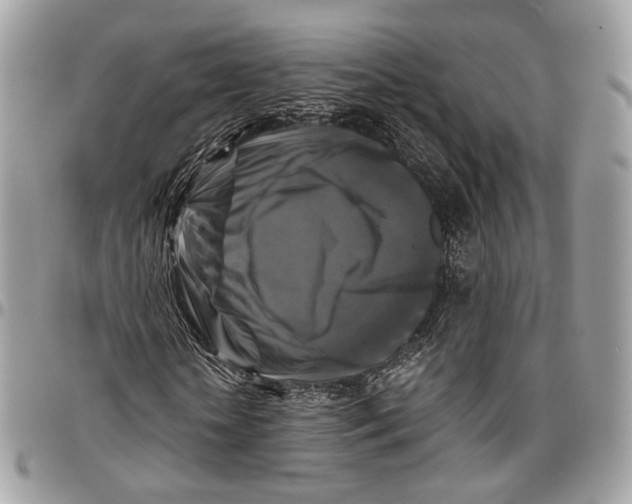 X0000096400818200802141516