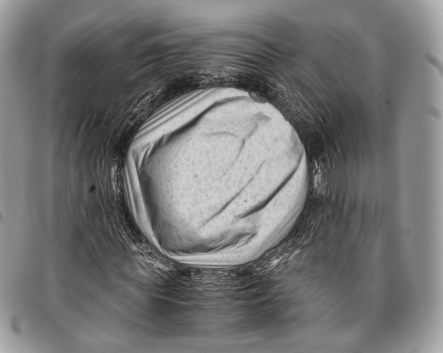 X0000096400819200802141516