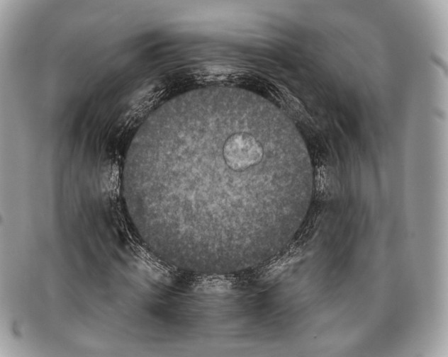 X0000096400820200802141516