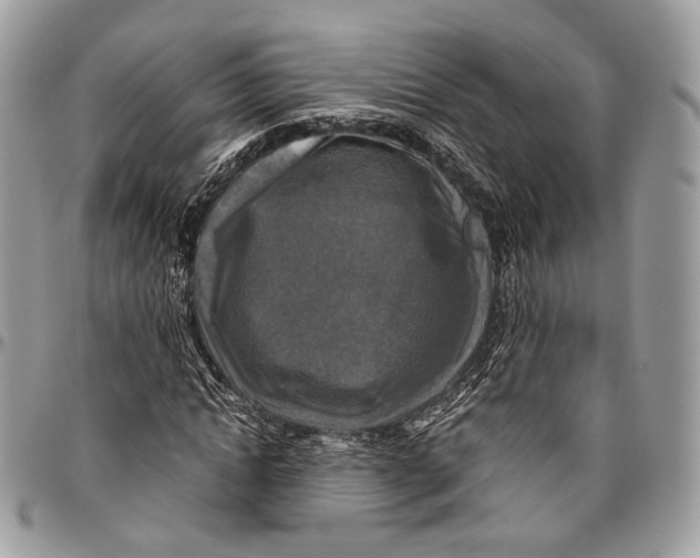 X0000096400822200802141516