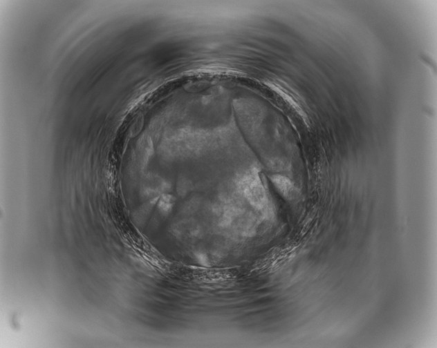 X0000096400823200802141516