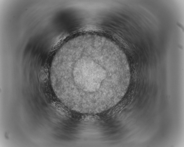 X0000096400824200802141516