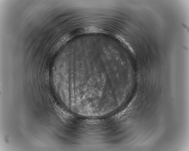 X0000096400825200802141516