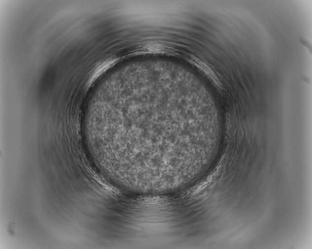 X0000096400826200802141516