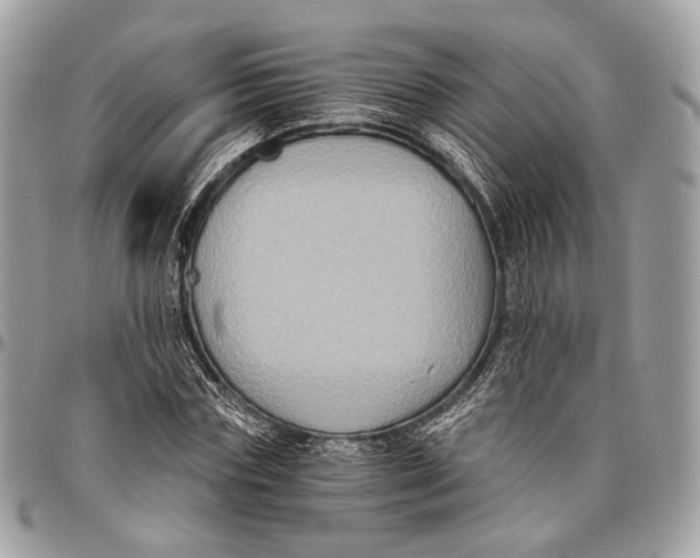 X0000096400827200802141516