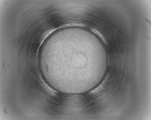 X0000096400828200802141516