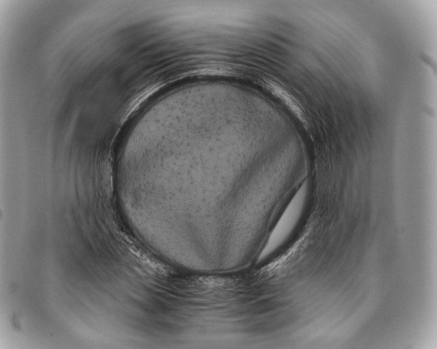 X0000096400829200802141516