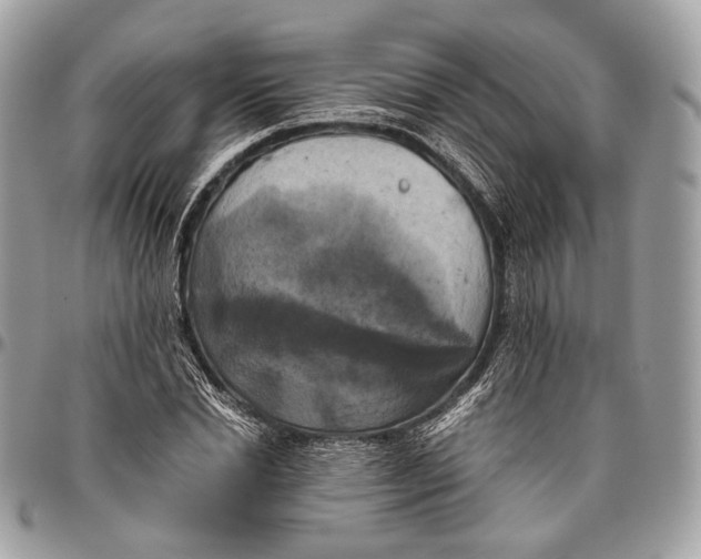 X0000096400830200802141516