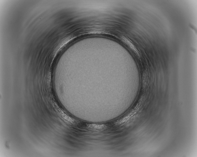 X0000096400831200802141516