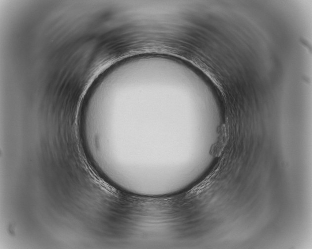 X0000096400832200802141516