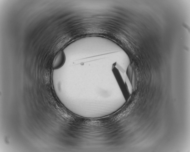 X0000096400833200802141516