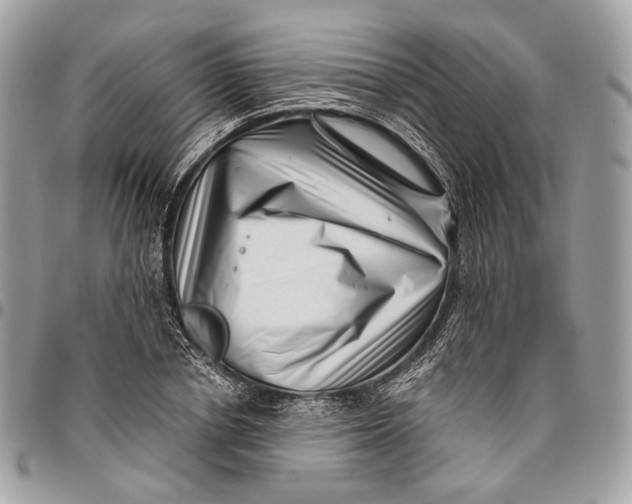 X0000096400834200802141516