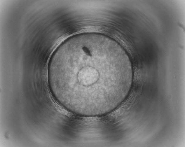 X0000096400836200802141516