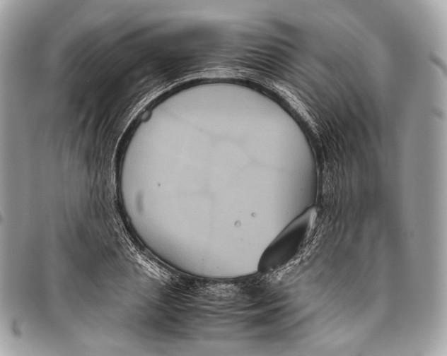 X0000096400837200802141516