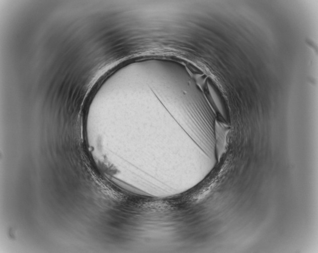 X0000096400838200802141516