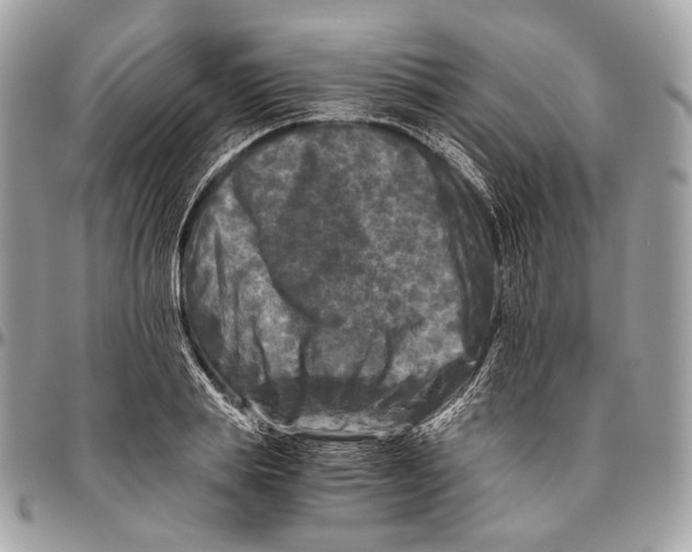 X0000096400839200802141516