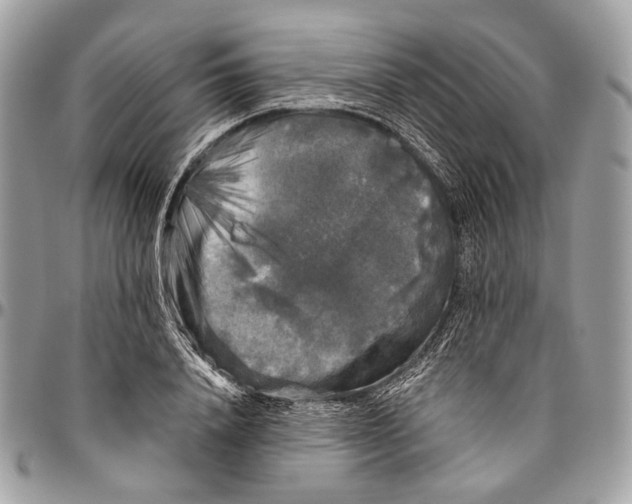 X0000096400840200802141516