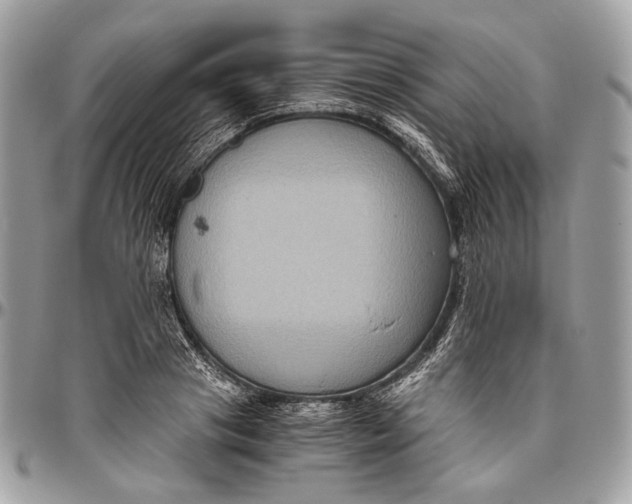 X0000096400841200802141516