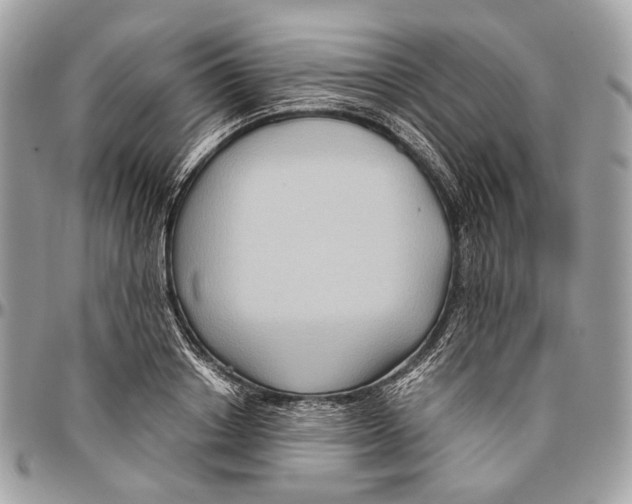 X0000096400842200802141516