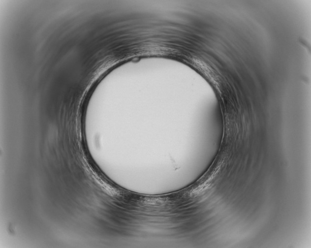 X0000096400843200802141516