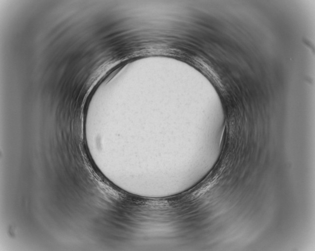 X0000096400844200802141516