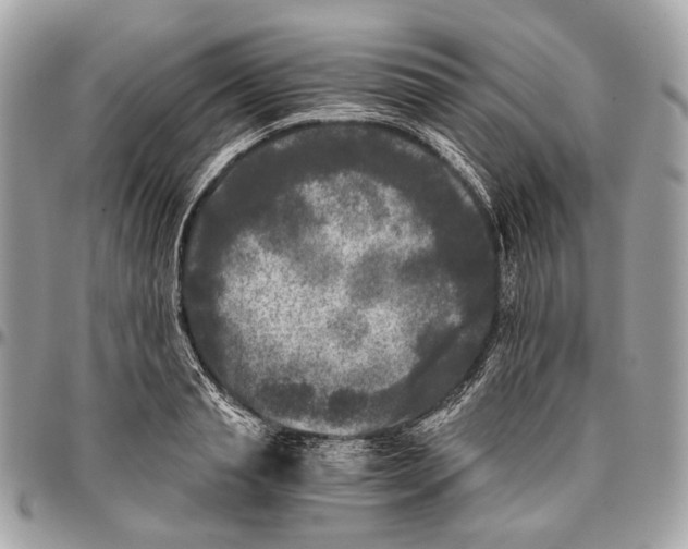 X0000096400845200802141516