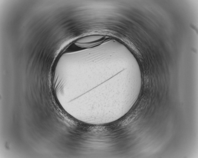 X0000096400846200802141516