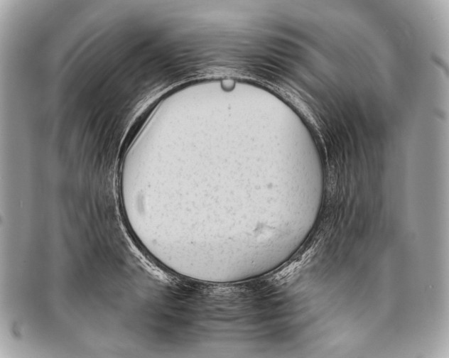 X0000096400847200802141516