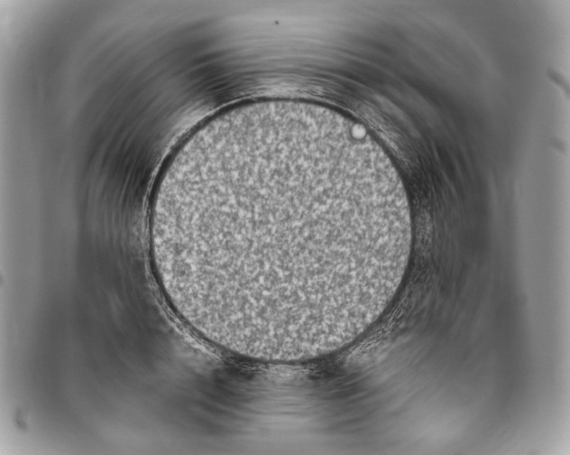 X0000096400848200802141516