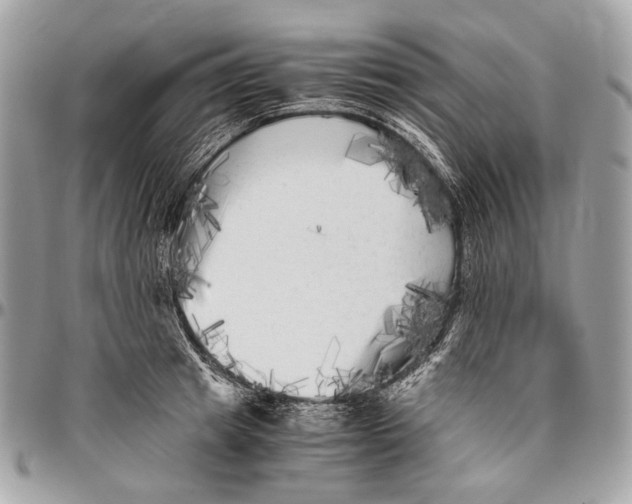 X0000096400849200802141517