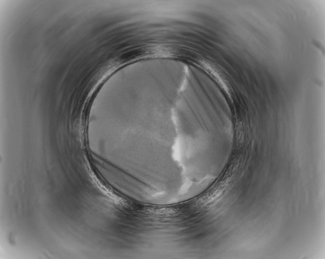 X0000096400851200802141517