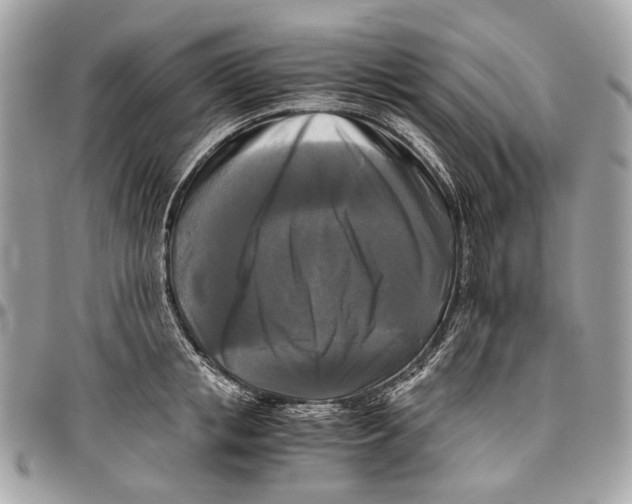 X0000096400853200802141517