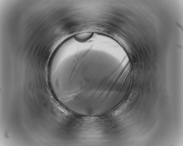 X0000096400854200802141517