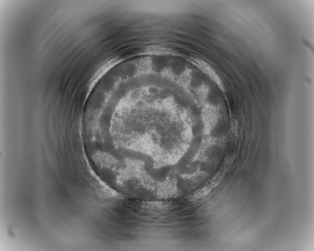 X0000096400855200802141517