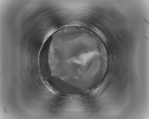 X0000096400858200802141517