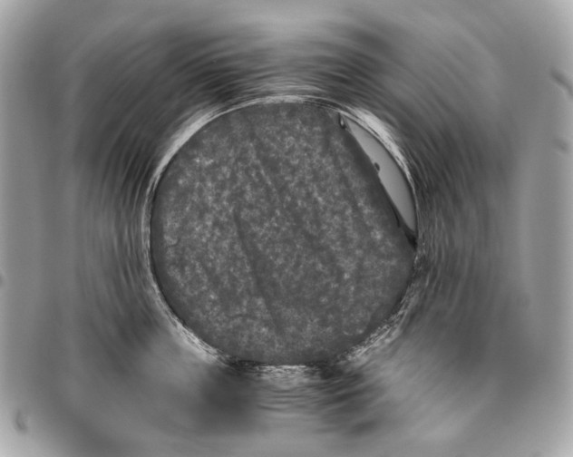 X0000096400859200802141517