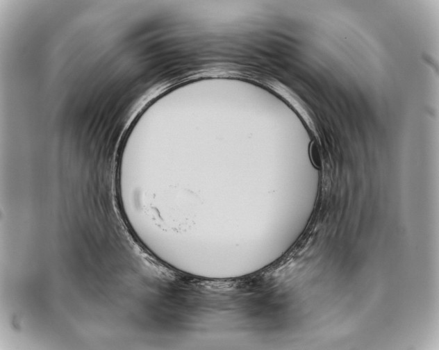 X0000096400861200802141517