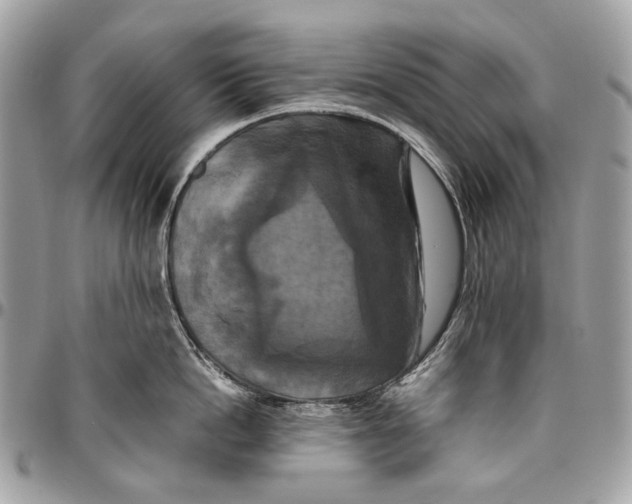 X0000096400862200802141517