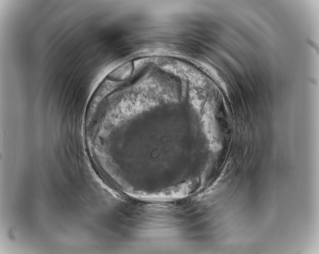 X0000096400863200802141517