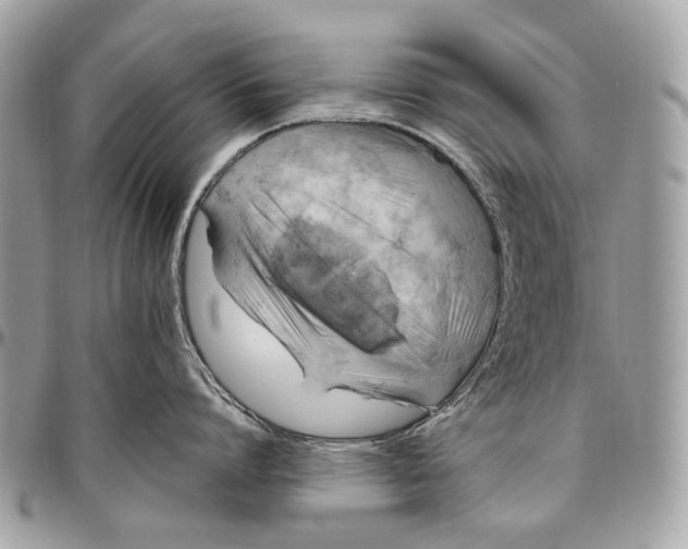 X0000096400864200802141517