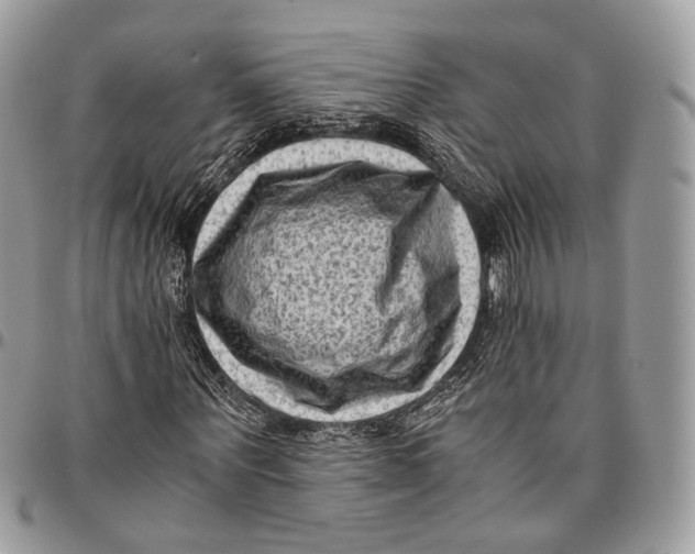 X0000096400867200802141516