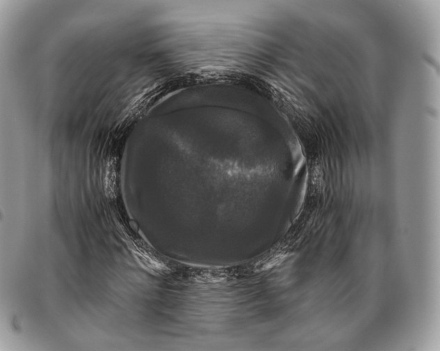 X0000096400868200802141516