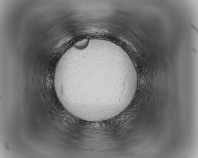 X0000096400869200802141516