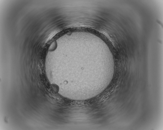 X0000096400871200802141516