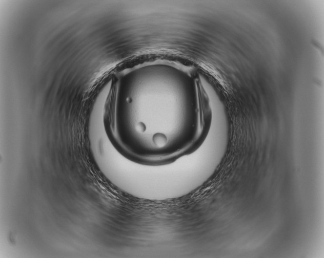 X0000096400872200802141516