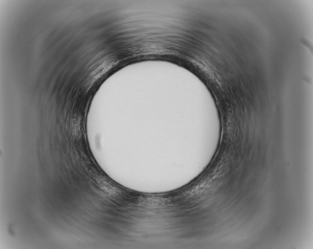 X0000096400873200802141516